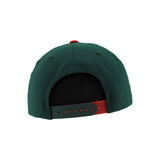 WBS Penguins Christmas Lights Snapback Hat