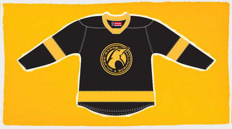 WBS Penguins channel Pittsburgh Hornets with New Third Jersey –  SportsLogos.Net News